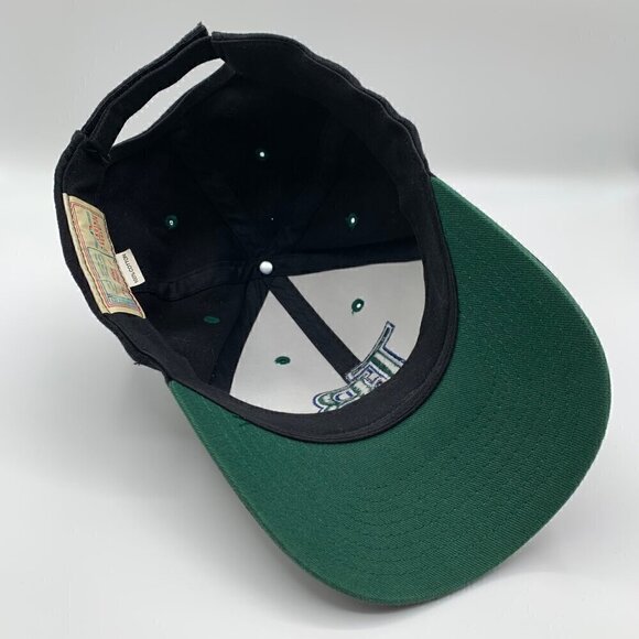 Tampa Bay Devils Rays MLB Vintage Black Twins Enterprise Adjustable Hat - Picture 4 of 5